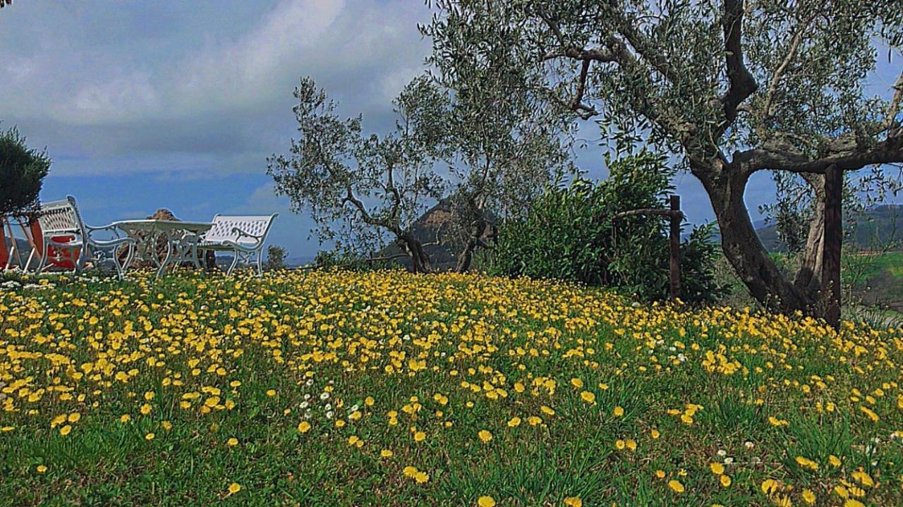 Agriturismo Villa Felice Volterra Eksteriør bilde