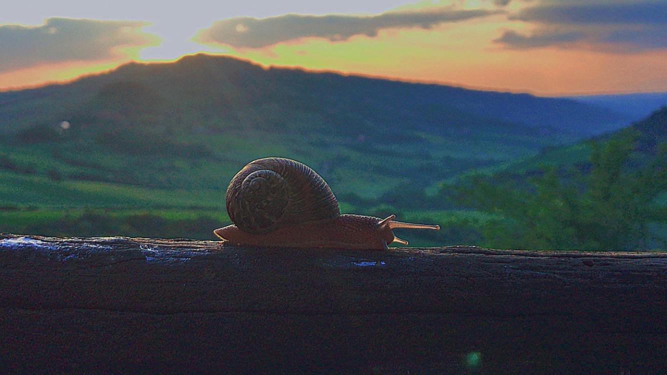 Agriturismo Villa Felice Volterra Eksteriør bilde