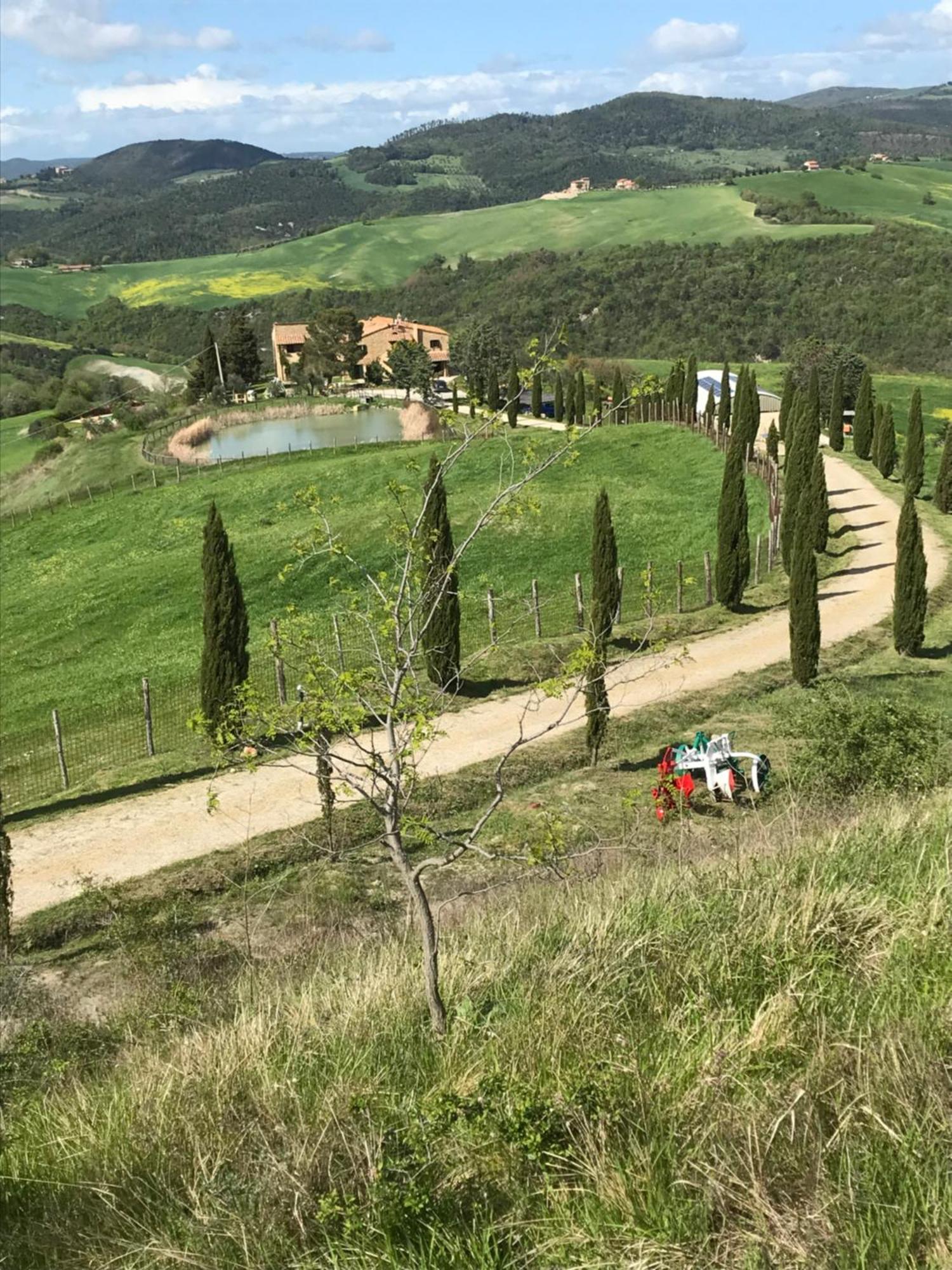 Agriturismo Villa Felice Volterra Eksteriør bilde